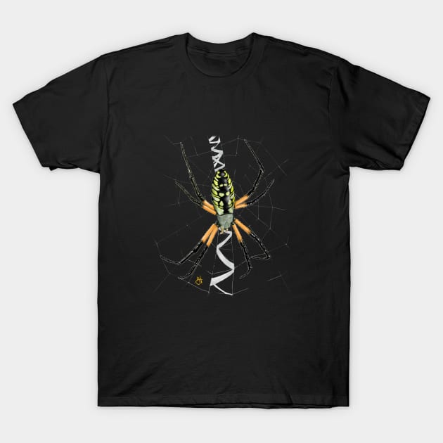 Black and Yellow Garden Spider on Web T-Shirt by John Himmelman